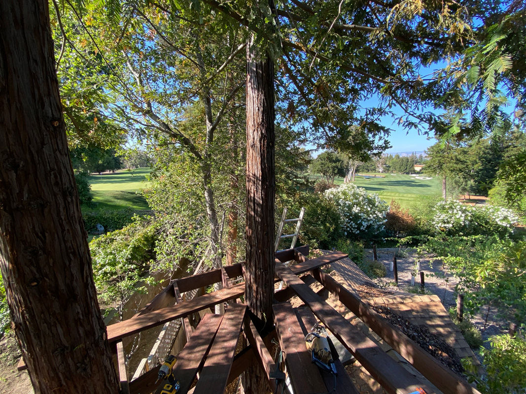 View of the treehouse foundation