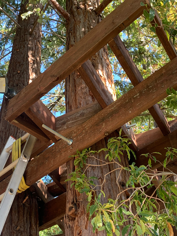 View of the treehouse support structures